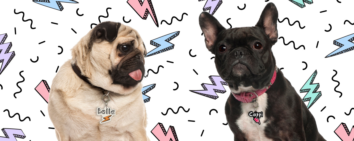 Lightning Bolts Pet ID Tag
