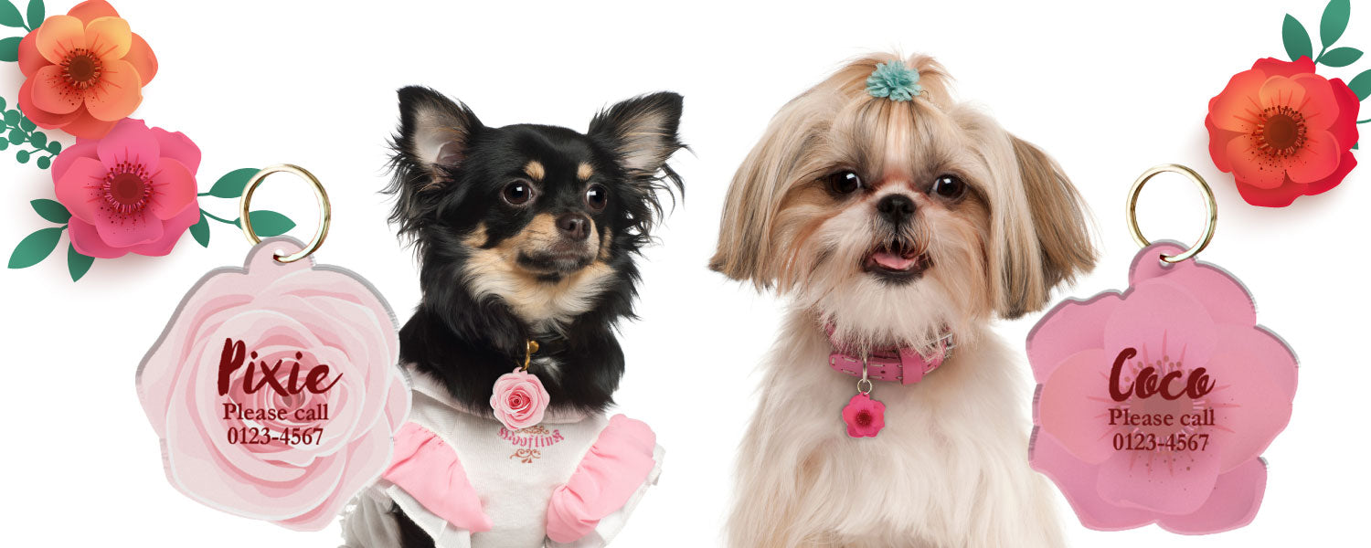 Blooms & Blossoms Floral Pet ID Tags