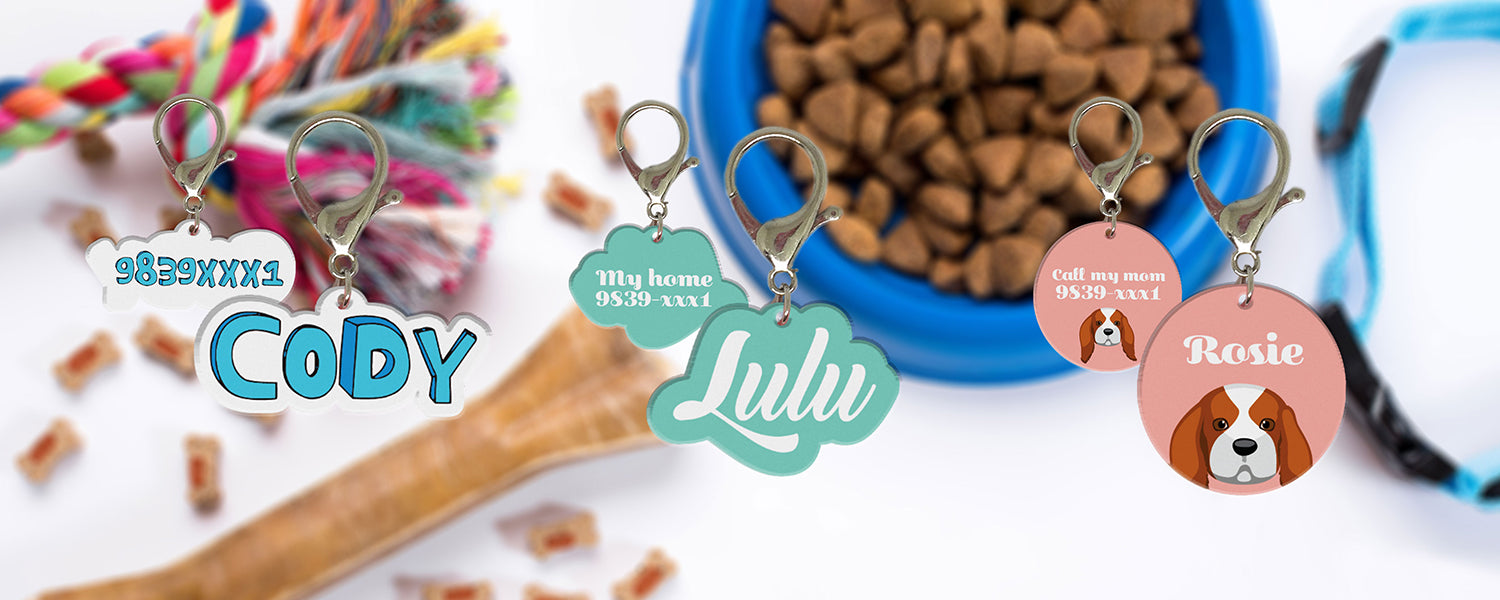 Typography Pet ID Tags