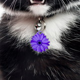 Daisy - Blooms & Blossoms Pet ID Tag