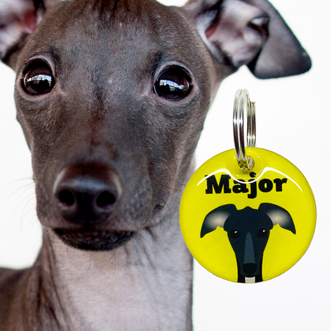 Greyhound | Best in Breed Bashtags | Personalized Dog Tags by Blank Sheet