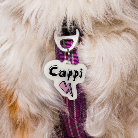 Lightning Bolt White Pet ID Tag