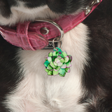 Pink Jade - Blooms & Blossoms Pet ID Tag