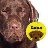 Chocolate Labrador Retriever | Best in Breed Bashtags | Personalized Dog Tags by Blank Sheet