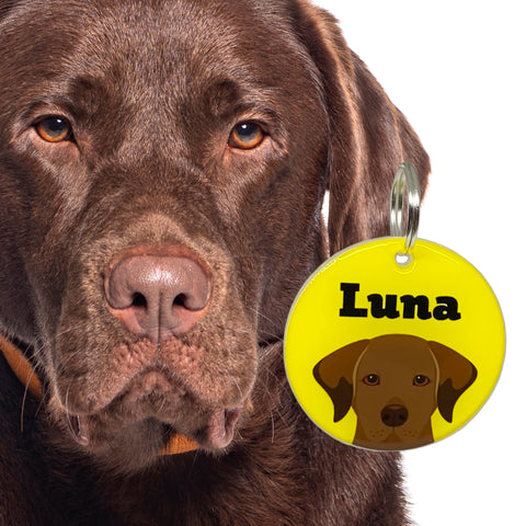 Chocolate Labrador Retriever | Best in Breed Bashtags | Personalized Dog Tags by Blank Sheet