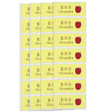 Fabric iron-on name labels 