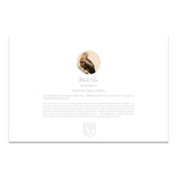 Black Kite | Hong Kong Birds Note Cards by Blank Sheet
