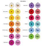 Daisy | Personalized Pet ID Tags For Dogs & Cats | Blank Sheet