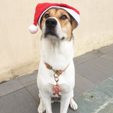 Gingerbread Santa Bashtags®  | Personalized Pet ID Tags for Dogs & Cats by Blank Sheet